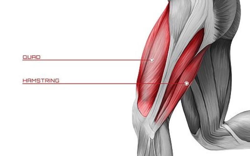 Chấn thương cơ đùi sau hamstring