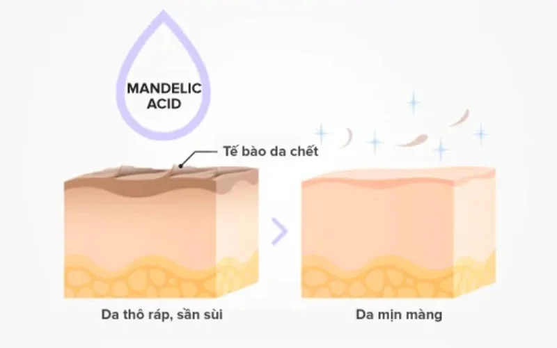 Cách sử dụng Mandelic Acid trong quy trình chăm sóc da