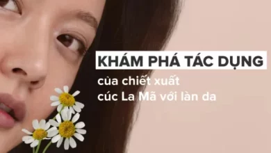 Khám phá tác dụng của chiết xuất cúc La Mã với da