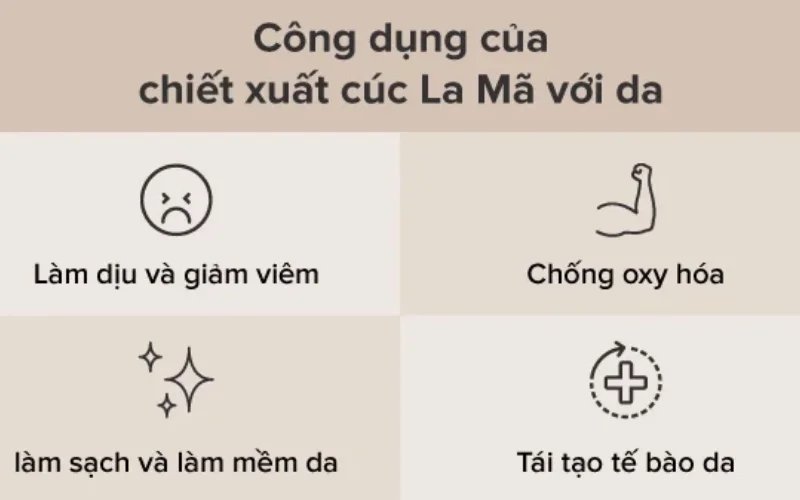 Tác dụng của chiết xuất cúc La Mã với da