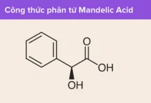 Tác dụng của Mandelic Acid với da và cách sử dụng hiệu quả